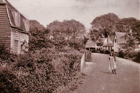 HISTORICAL IMAGES OF WHITE THATCH