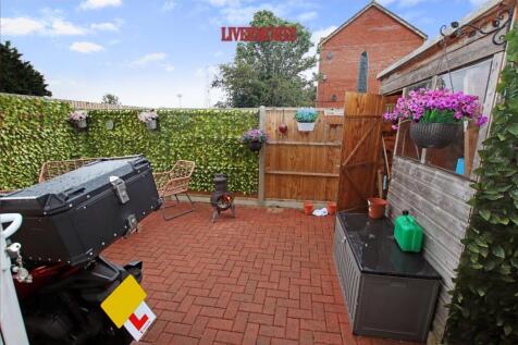 IMG_8632dp.jpg