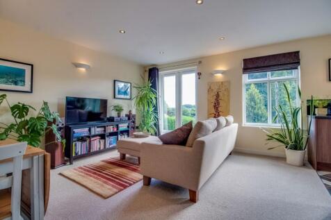 Living / Dining