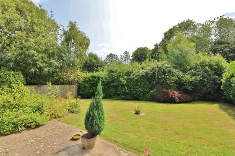Property Image 41