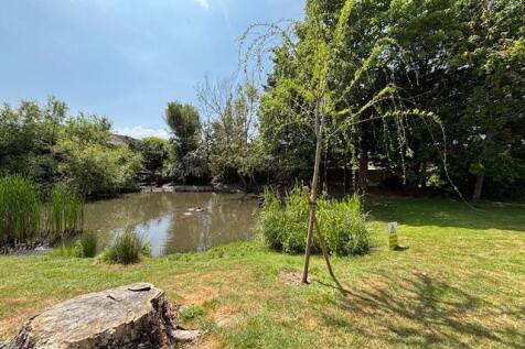 Pond Area