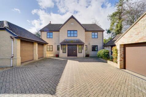 Property Image 26
