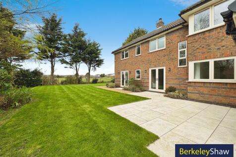 Rear garden (2)