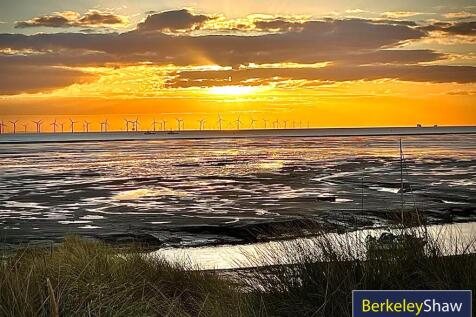 tlc_34ef1235-66f2-4476-95bd-17e696032532_19989e4.j