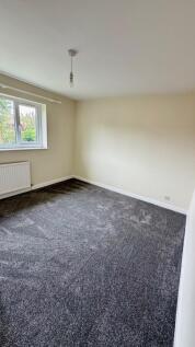 Large Back Bed 1