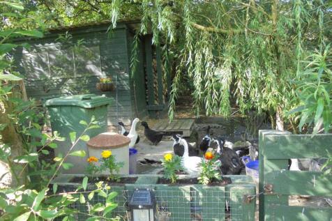 Property Image 22