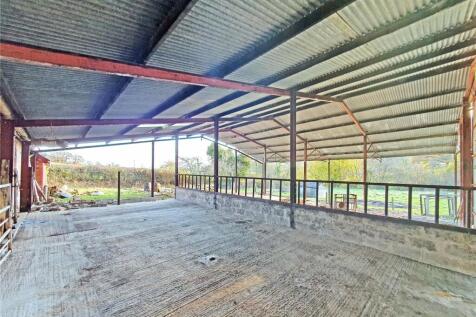 Cattle Shed
