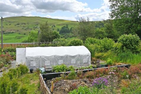 Polytunnel