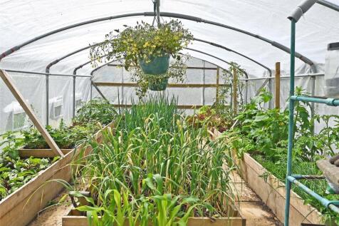 Polytunnel -Interior