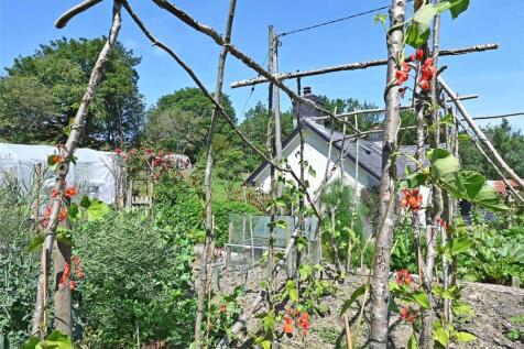 Vegetable Garden