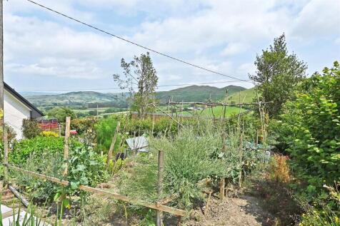 Vegetable Garden