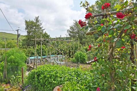 Vegetable Garden