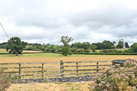 View From Garden