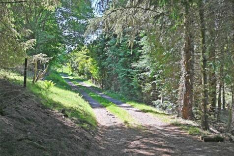 Entrance Drive