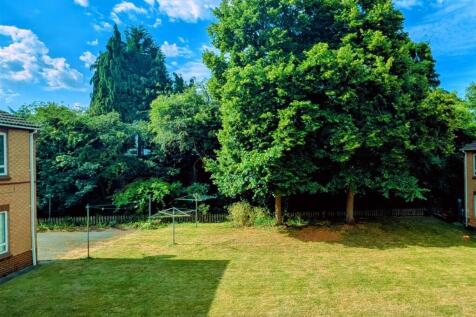 garden .jpg
