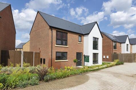 Plot 154