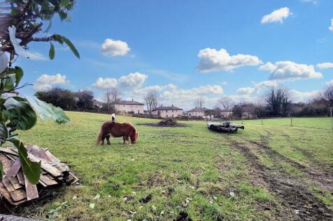 The Field