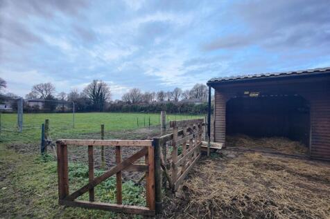 Paddock Stable