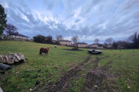 The Field