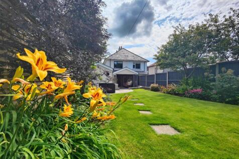 Vibrant Garden