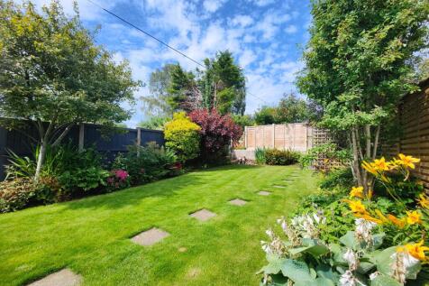 Vibrant Garden