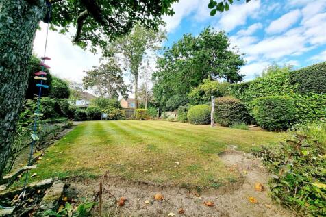 LARGE &amp; ESTABLISHED REAR GARDEN: