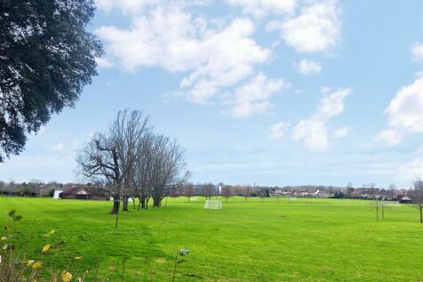 Cricket Fields