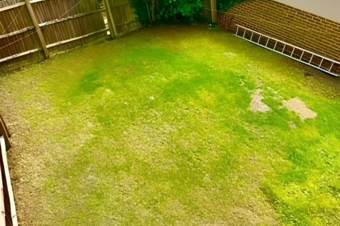 wmremove-transformed.png