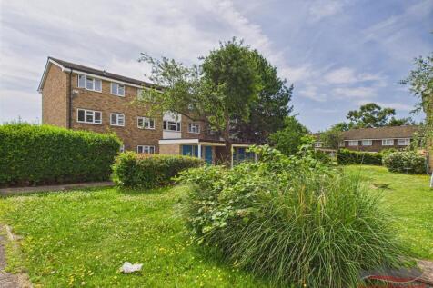 Communal Garden