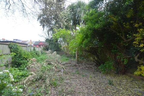 138 Whitton Road garden.JPG