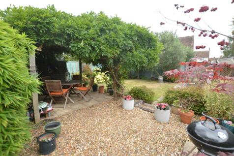 37 Collingwood Close gdn july 25 b.JPG