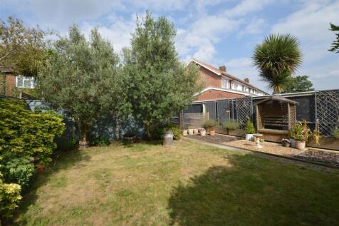 37 Collingwood Close garden sunny july 25.JPG