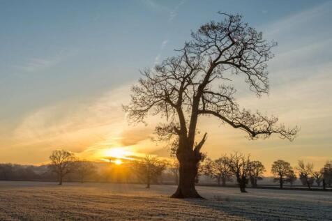 Lrg_Ashton Court 2