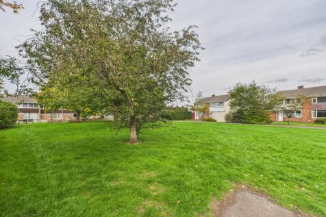 CAM02023G0-PR0172-STILL001