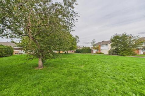 CAM02023G0-PR0172-STILL002