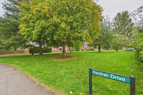 CAM02023G0-PR0172-STILL005