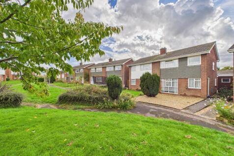 CAM02023G0-PR0177-STILL022