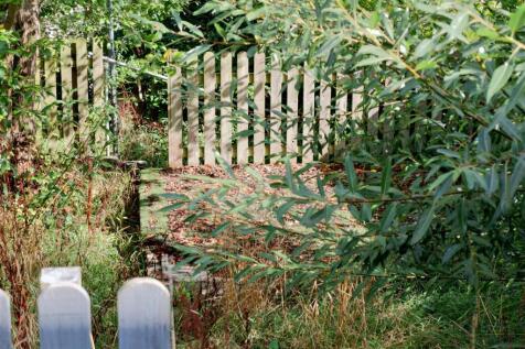 DSCF5078.JPG