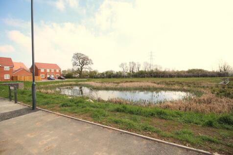 Pond View
