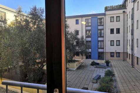 view from lounge