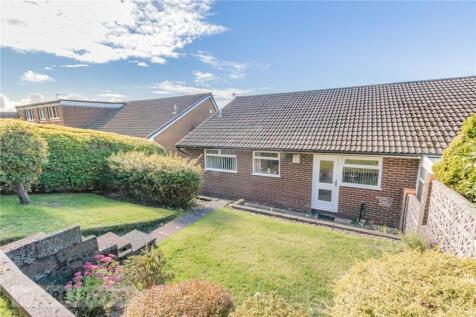 Back Garden