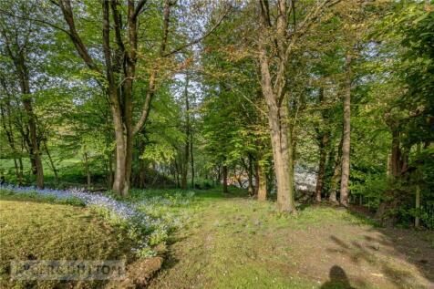 Wooded Area