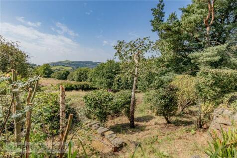 Rear Garden/View