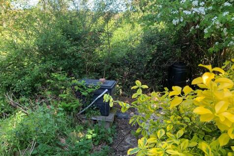 Garden 1