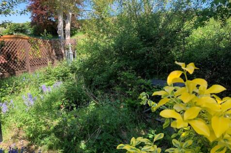 Garden 2
