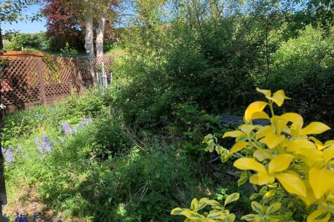 Garden 3