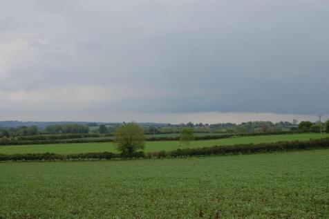 DSC_0202.JPG