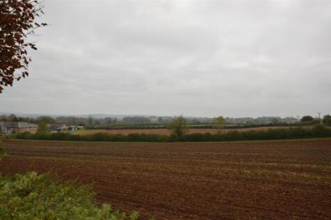 DSC_0674.JPG