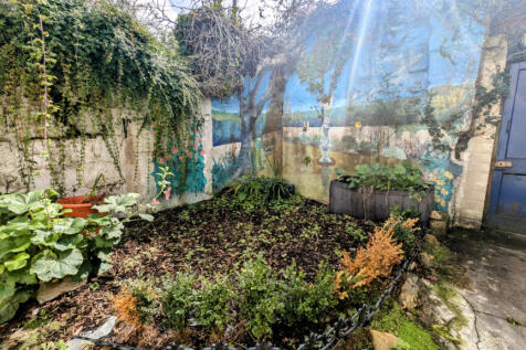 Courtyard Area