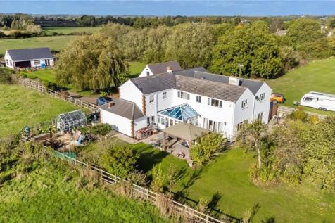 trotterbackhouse